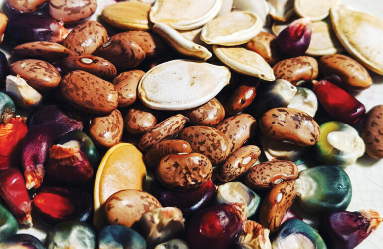 Saving Culturally Significant Seeds Image